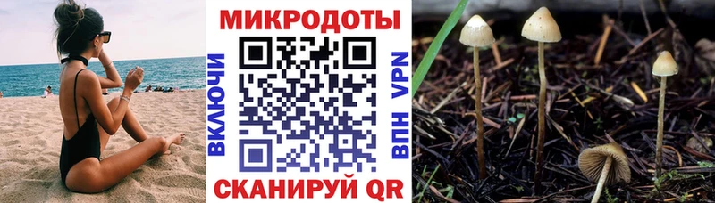 Псилоцибиновые грибы Magic Shrooms Усмань